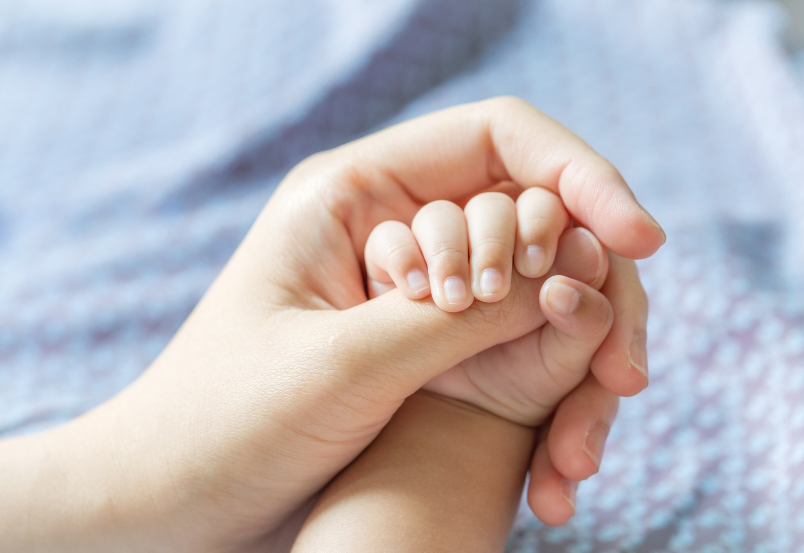 Mão de um adulto segura delicadamente a mão de um bebê, simbolizando o vínculo, a confiança e o cuidado que são base da relação entre educador e criança na abordagem Pikleriana.