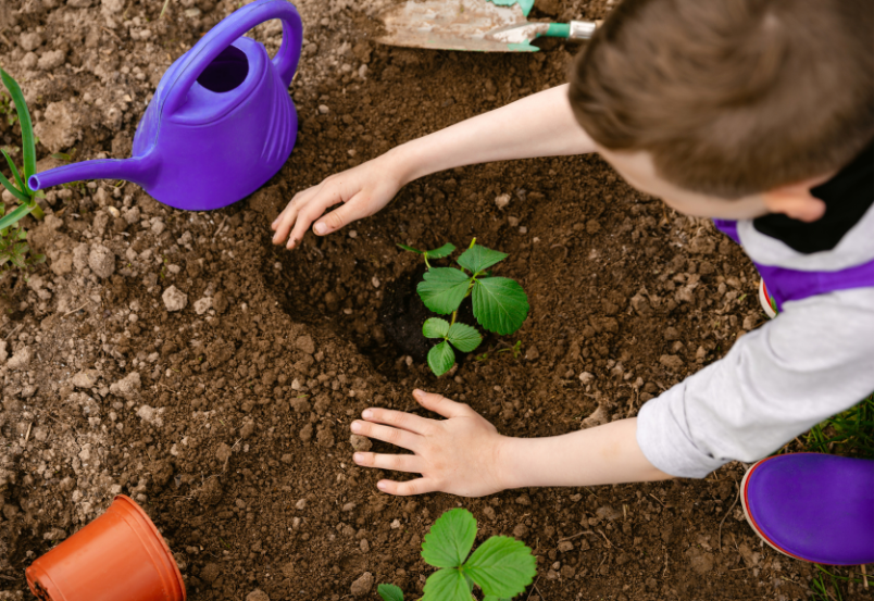 Criança planta uma muda em um canteiro de terra, com regador e ferramentas de jardinagem ao redor, vivenciando o cuidado, a paciência e o respeito pela vida — valores essenciais da educação inspirada na abordagem Pikleriana.