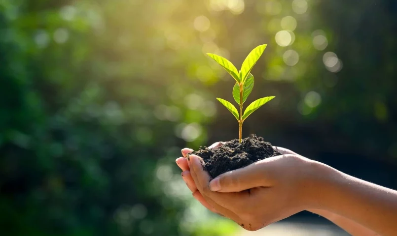 MBA em ESG – Meio Ambiente, Social e Governança