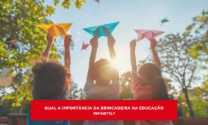 Qual a importância da brincadeira na Educação Infantil?