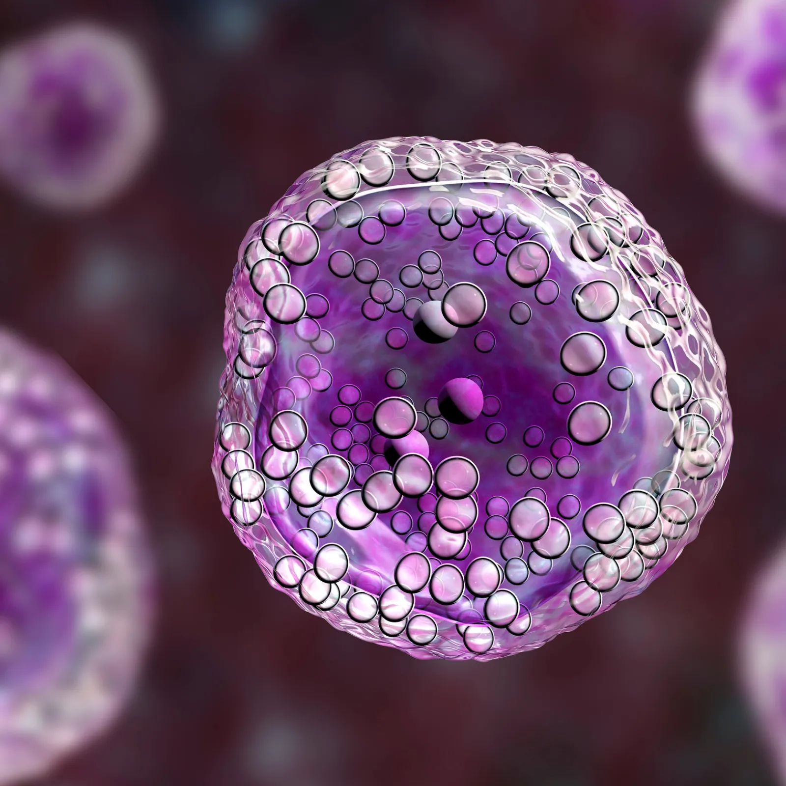 estetica regenerativa terapias celulares abordagem anatômica