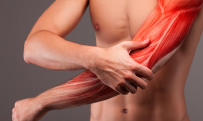 Principais causas de lesões musculoesqueléticas em praticantes de atividade física