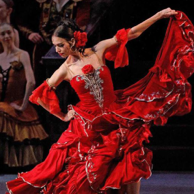 [Imagem de Profissionais de dança em formação técnica]